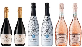 Boutique Bubbly Six in Gift Box