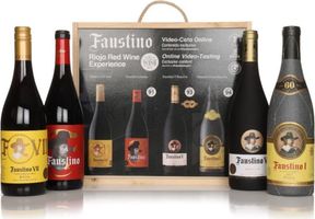 Faustino Rioja Red Wine Experience Gift Pack ...