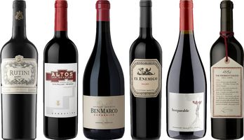 Argentinian Malbec Premium Tasting Case