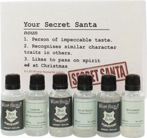 Secret Santa Christmas Gin Gift Set