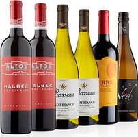 Cellar Masterpieces 6 Bottle Case