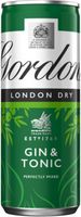 Gordon's Gin and Tonic can